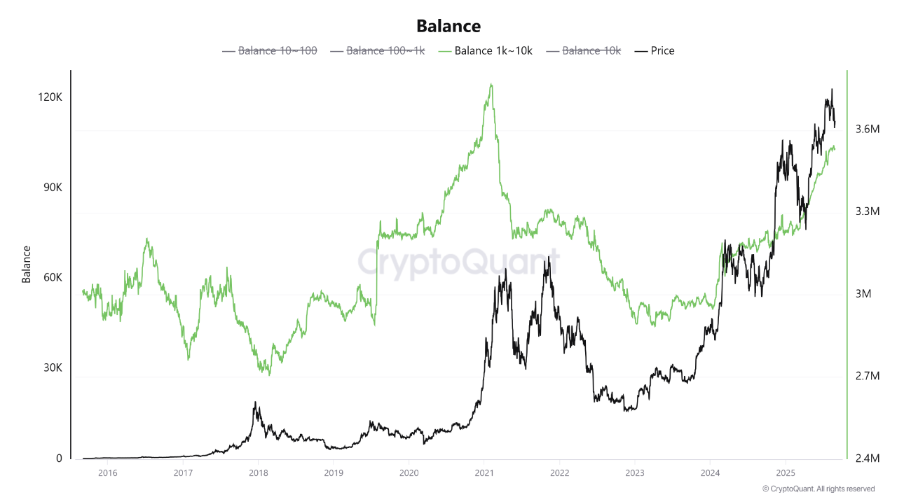 Power Shift: Mid-Sized Whales Take the Helm of the Bitcoin Market |  CryptoQuant