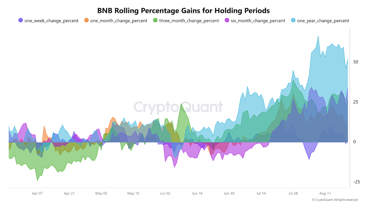 BNB Rolling Percentage Gains.