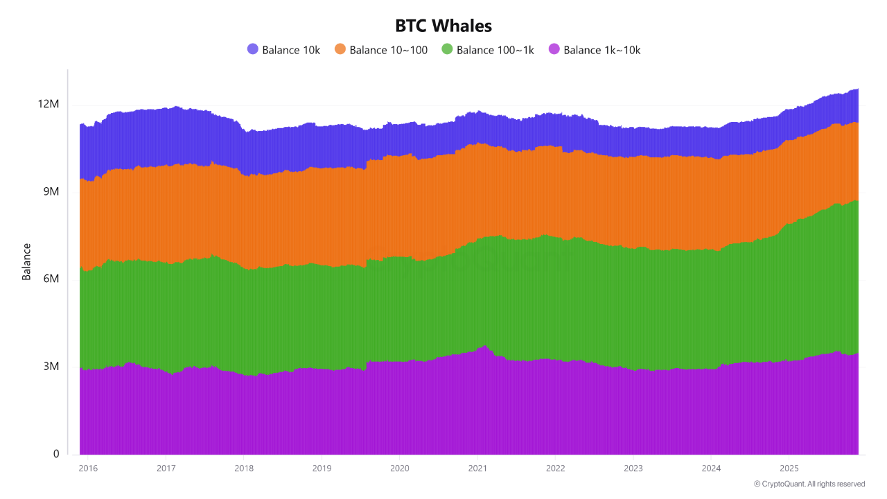 Bitcoin Whale Holdings Reach a New All-Time High | CryptoQuant