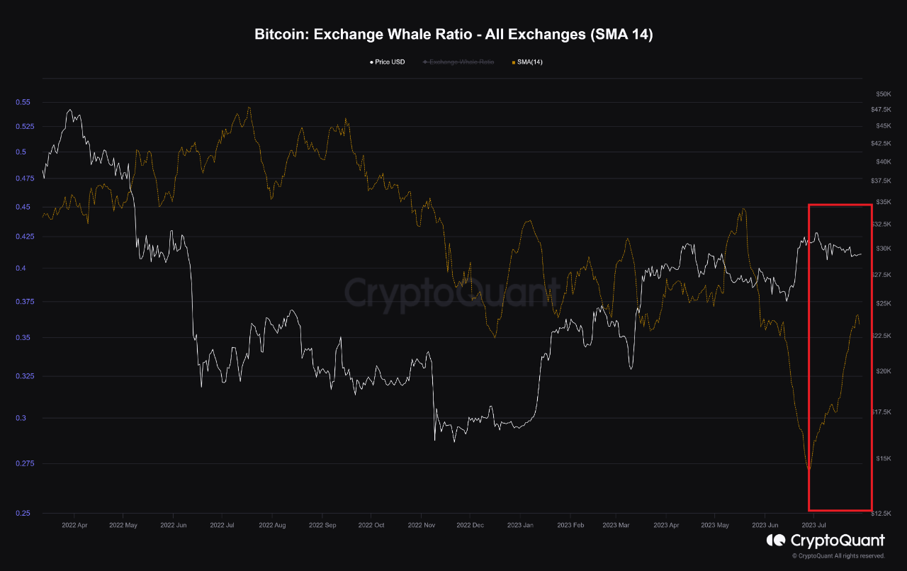 crypto whale activity and market manipulation
