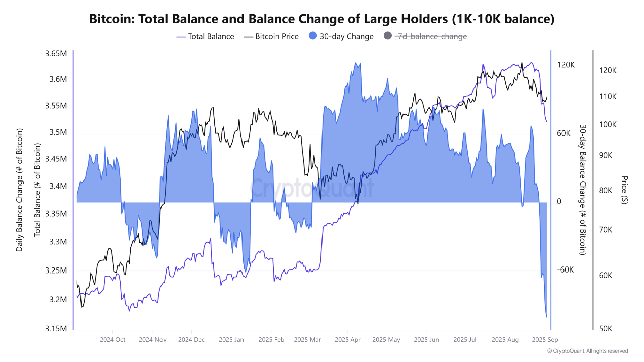 Bitcoin Whale Balance Change CryptoQuant