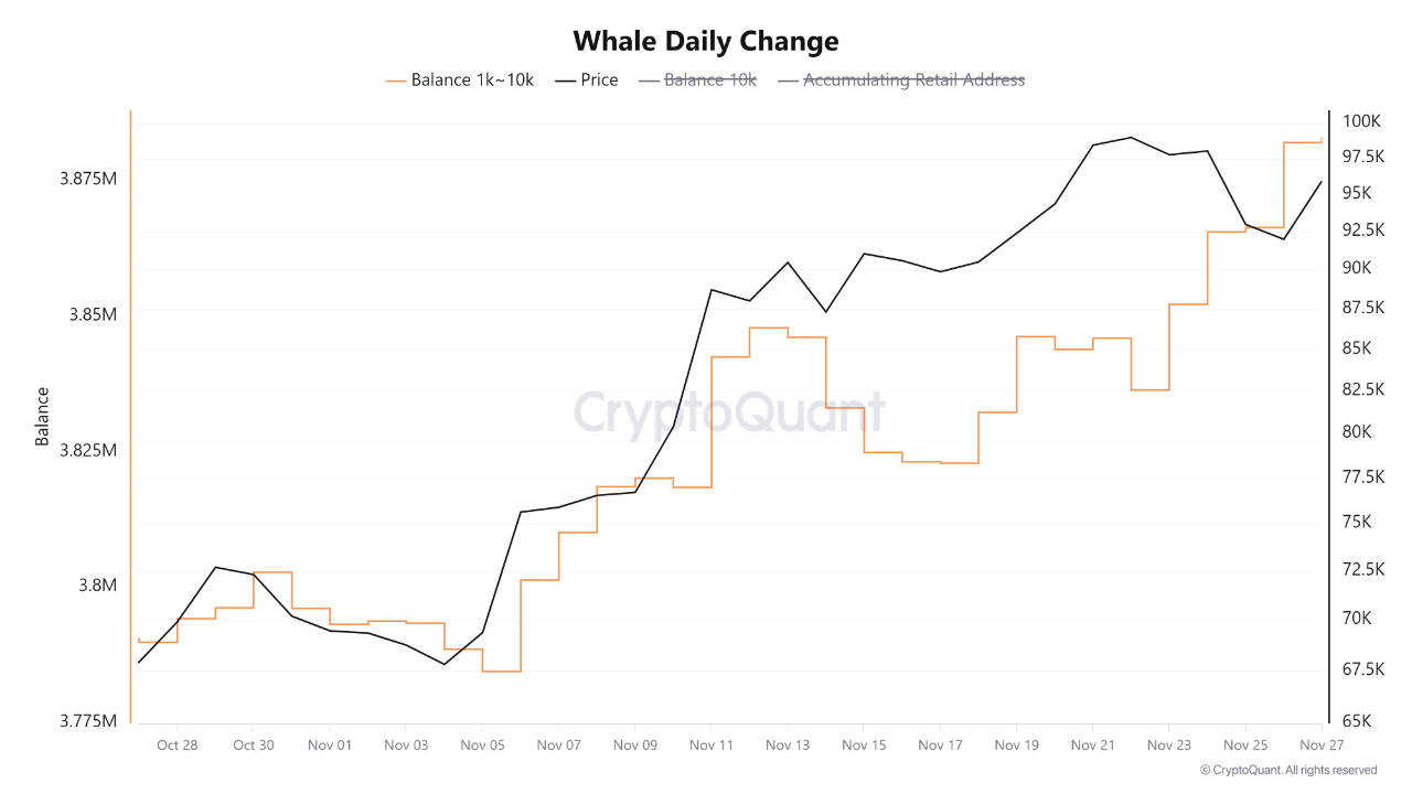 Whales take advantage and accumulate US$1.5 billion in Bitcoin in the last  dip | 크립토퀀트