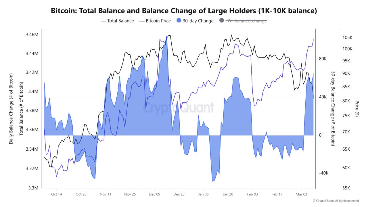 Whales accumulate more than 65 thousand BTCs in the last month 🔥 |  CryptoQuant