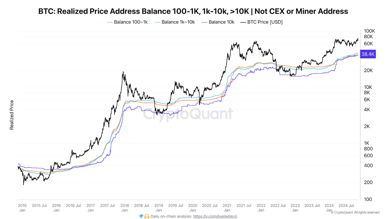 At what prices did big players buy bitcoin? | CryptoQuant
