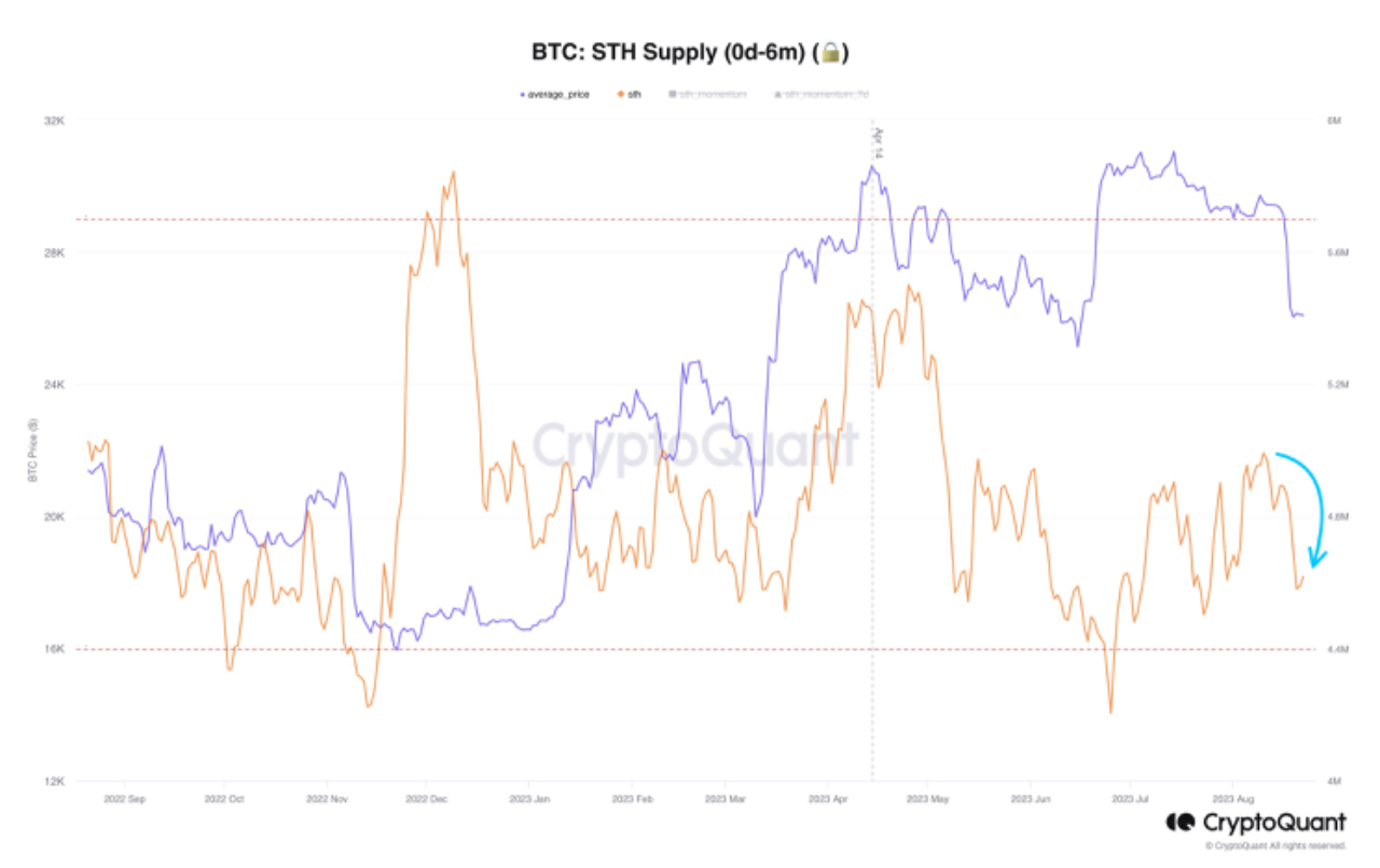 Recovery of the Bitcoin Market: When Will the Market Return to Active  Growth? | 크립토퀀트