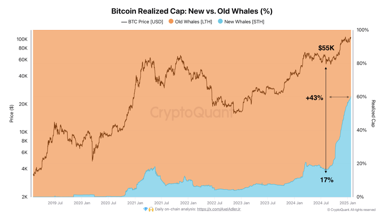 The share of new whales (STH) in the Bitcoin market | CryptoQuant