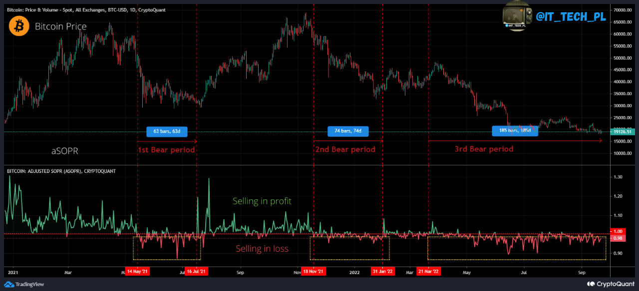 Bitcoin jako SOPR