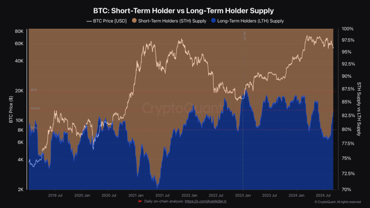 Shifting Hands: Capital Flowing from Weak to Strong Holders - Short-Term  vs. Long-Term Bitcoin Ac...
