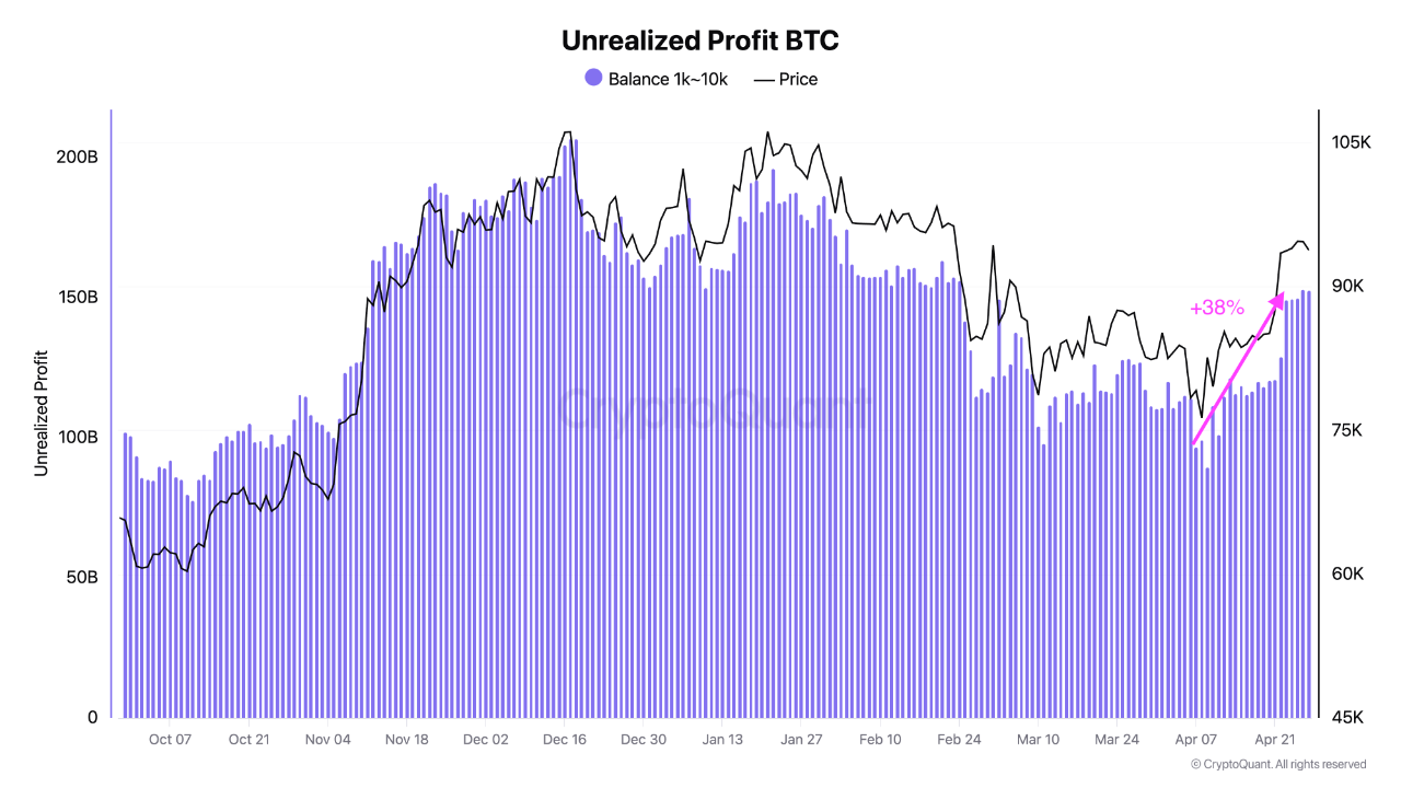 🐋 Bitcoin Whales Are Increasing Their Unrealized Profits 📈 | CryptoQuant