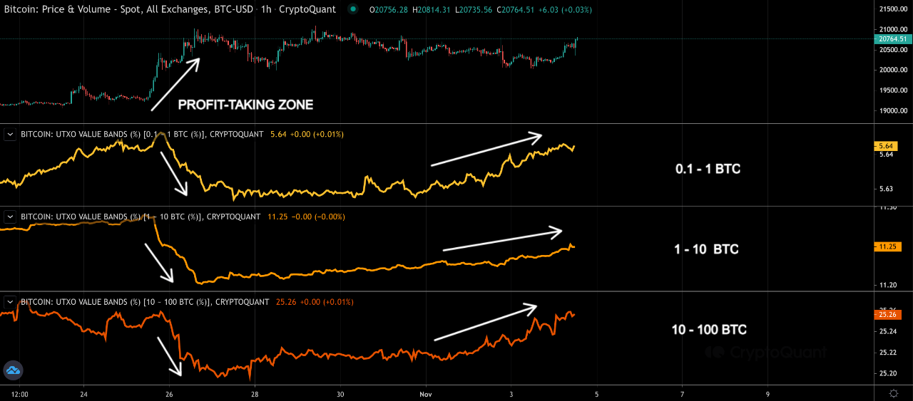 Acumulación de ballenas Bitcoin