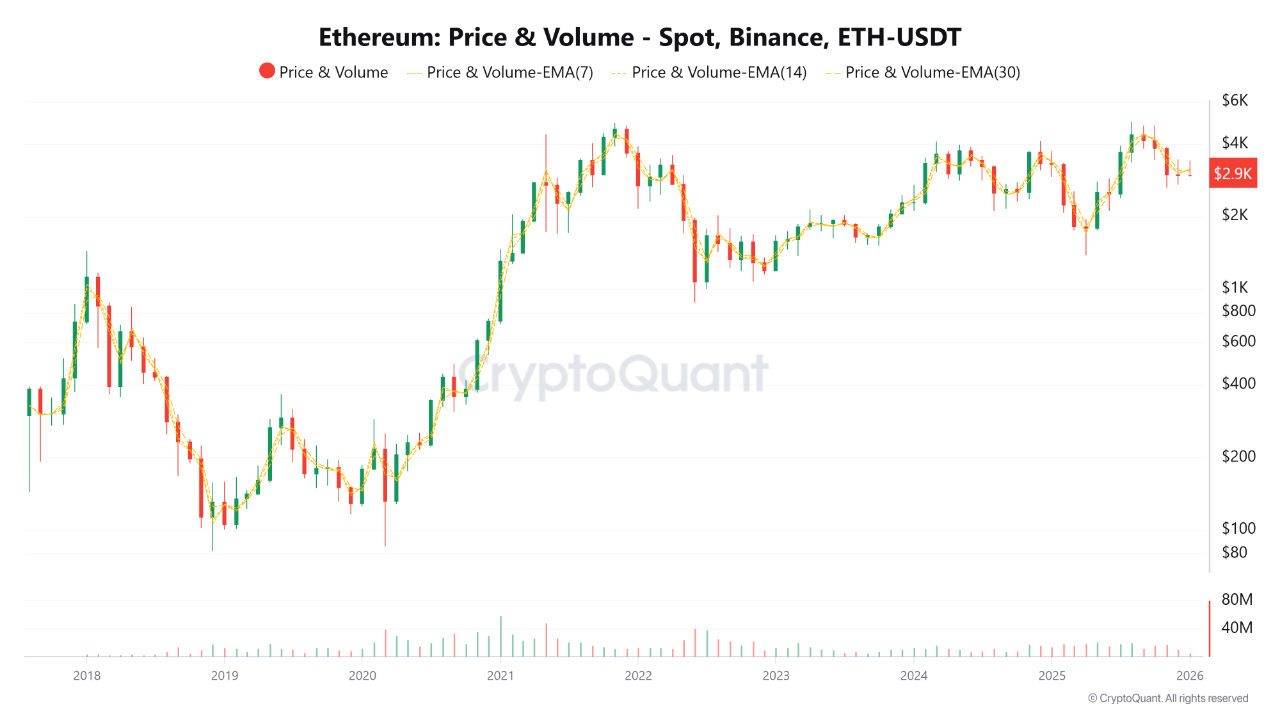 Could a Crash Be on the Way? | CryptoQuant