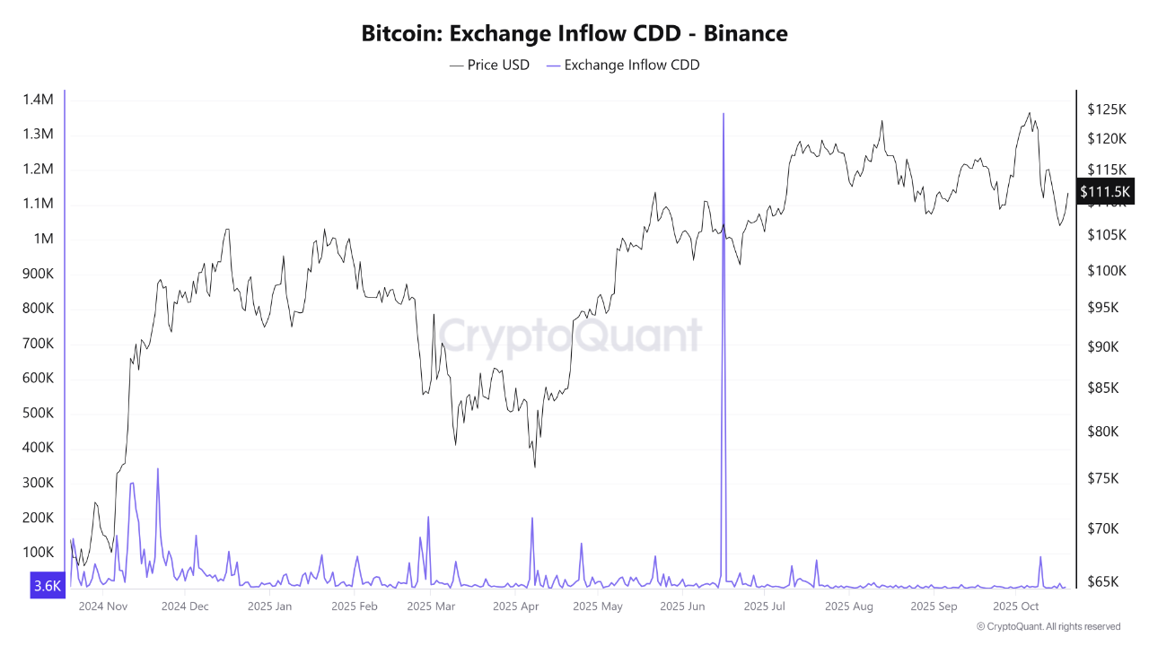 Bitcoin Consolidates with Strong Holder Confidence Path Toward $150K  Remains Intact | CryptoQuant