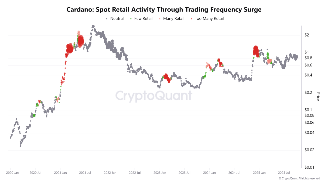 Investors Await ADA ETF Decision | CryptoQuant