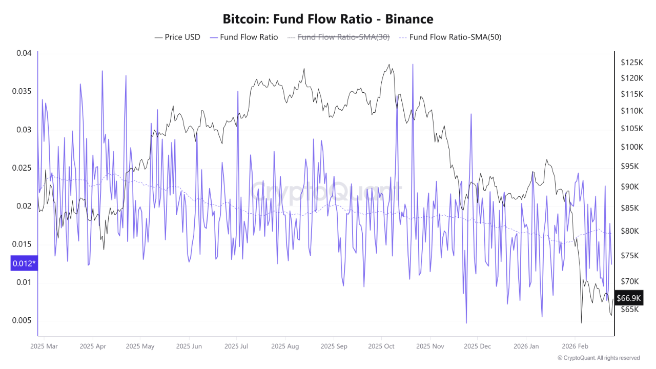 The Rise in Bitcoin Is Just a Relief Rally | CryptoQuant