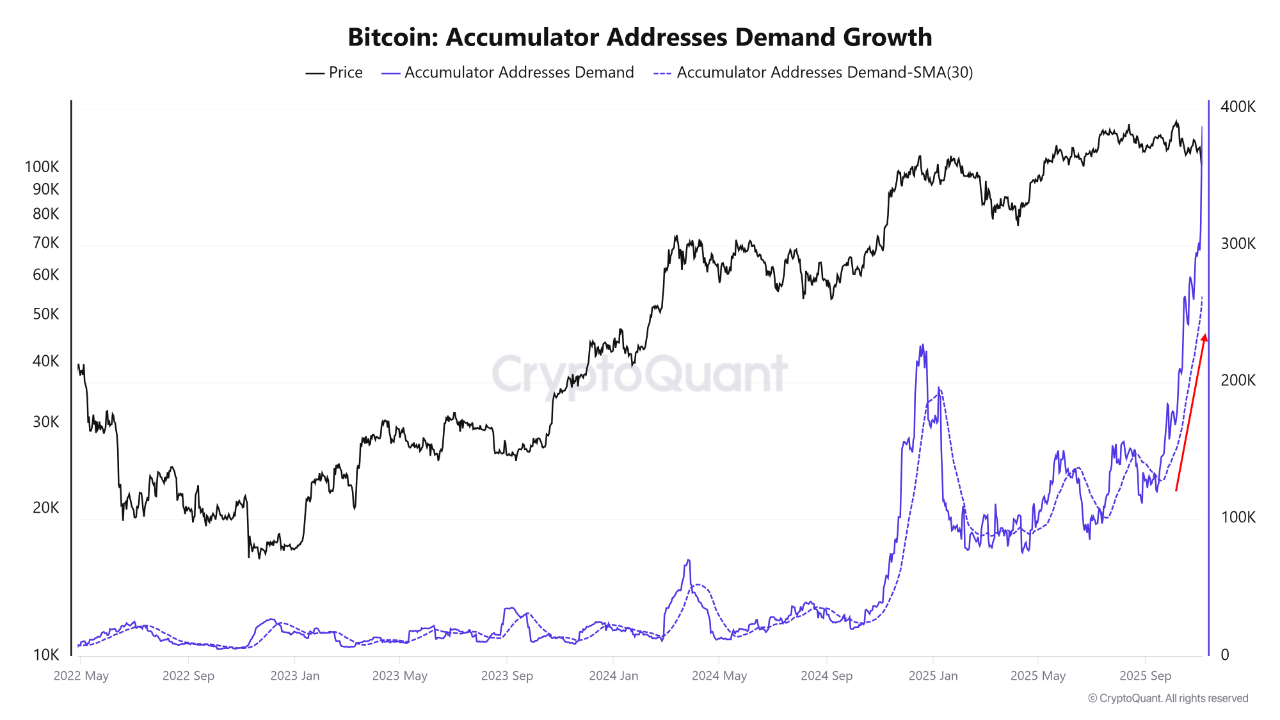 BTC Permanent Holders Absorb Selling Pressure as Accumulation Accelerates |  크립토퀀트