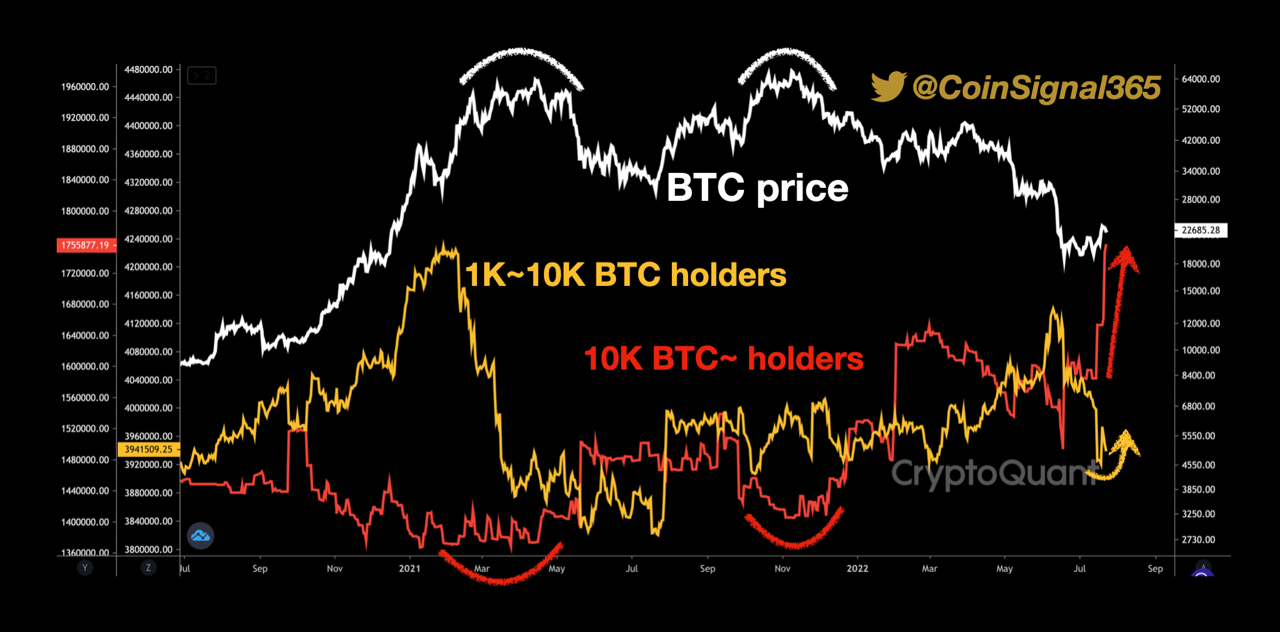 On-Chain Data: Bitcoin Whales With 10k+ BTC Have Been Growing