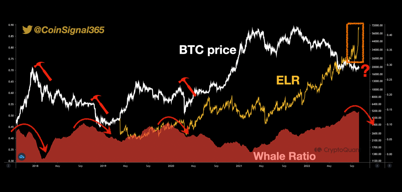 Proporção de Baleias de Troca de Bitcoin