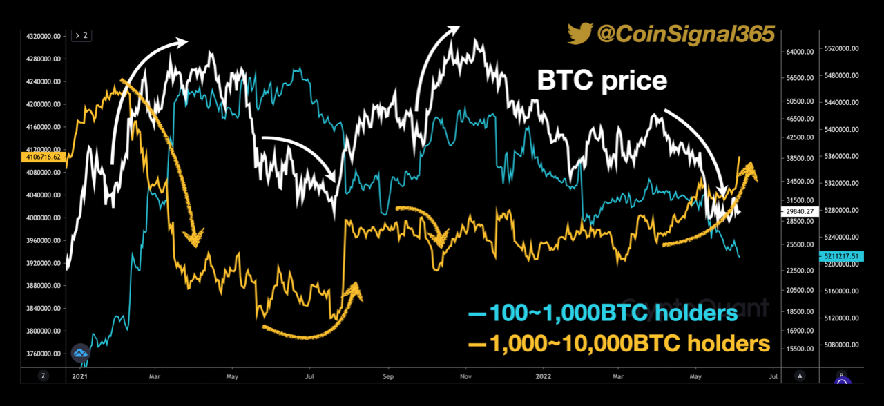 Bitcoin Bullish Signal: 1k-10k BTC Holders Have Been Buying Recently