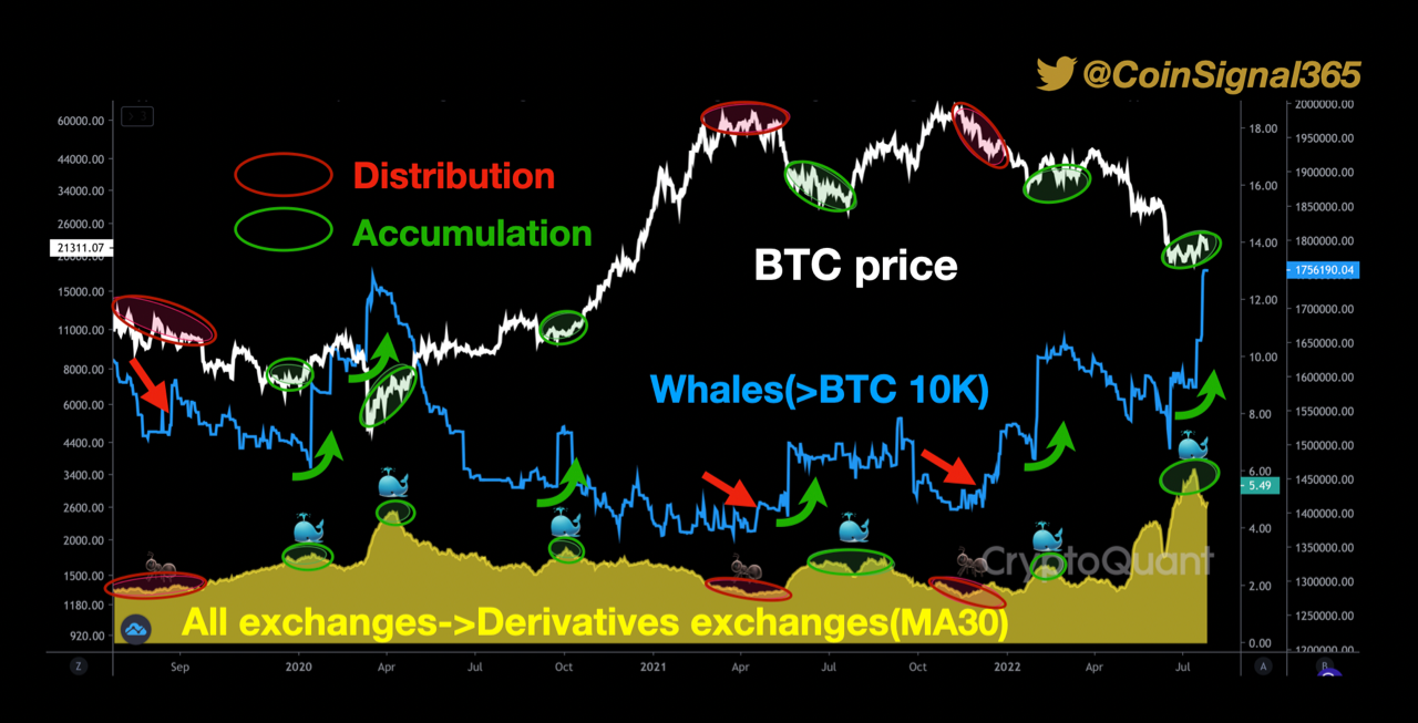Is the crypto market during the distribution period or the accumulation  period? | CryptoQuant