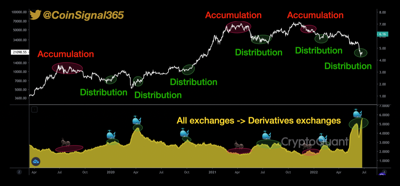 Bitcoin Whale Presence On Derivatives Still High, More Volatility Ahead?