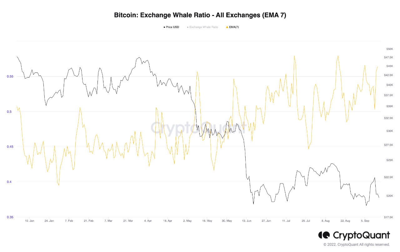 Relación de ballena de intercambio de Bitcoin