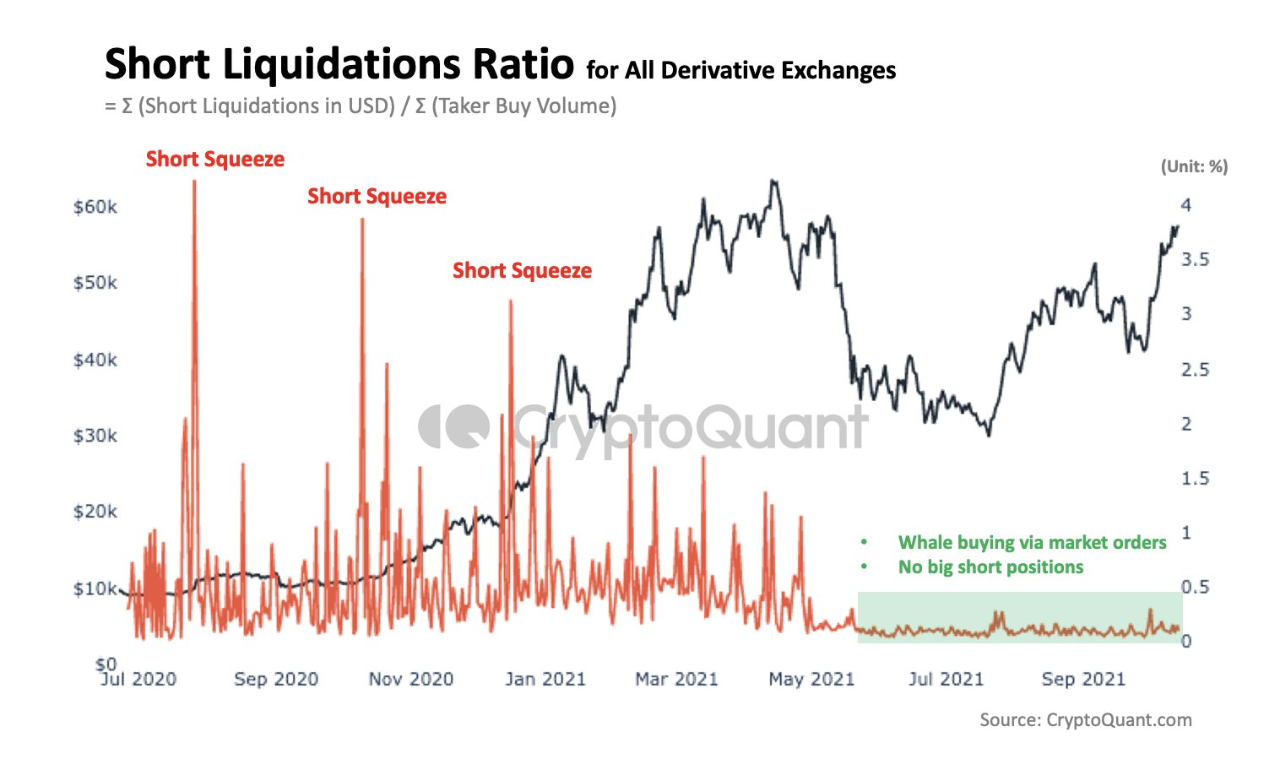 Read and write the number then act out. Short exchanges. Bitcoin short liquidation. Short exchanges. Short term long term.