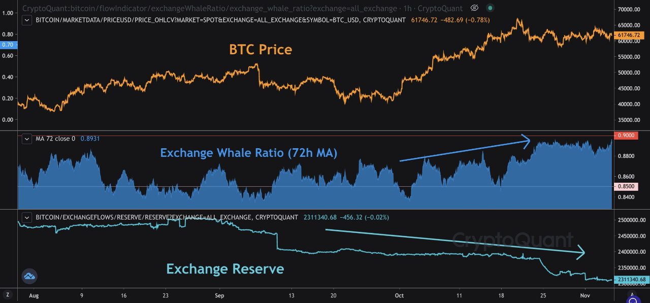 Bitcoin balina oranı