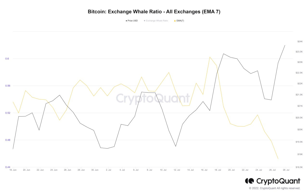 Raportul balenelor de schimb Bitcoin