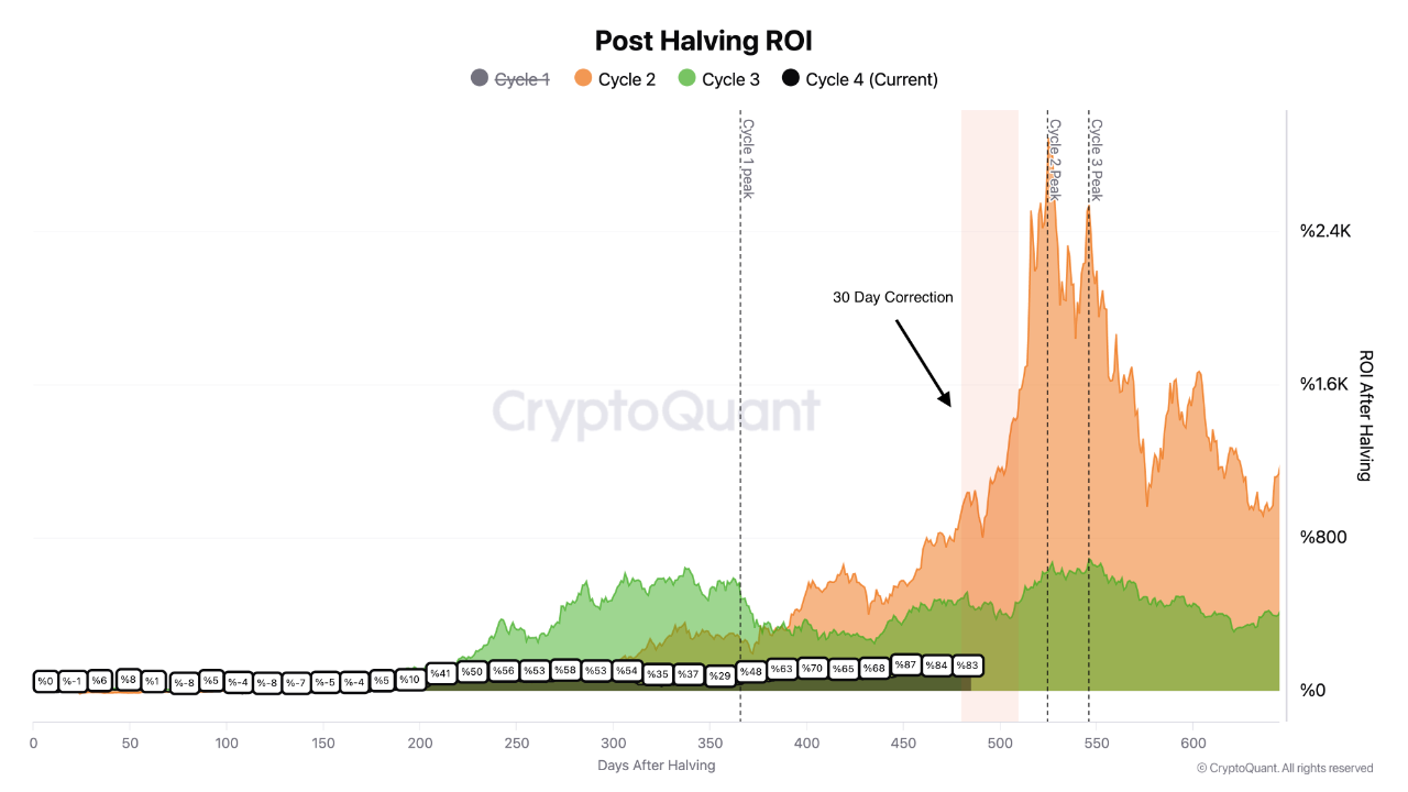 Dips Happen: Bitcoin Weakness Mirrors Previous Cycles, Recovery on the  Horizon | CryptoQuant
