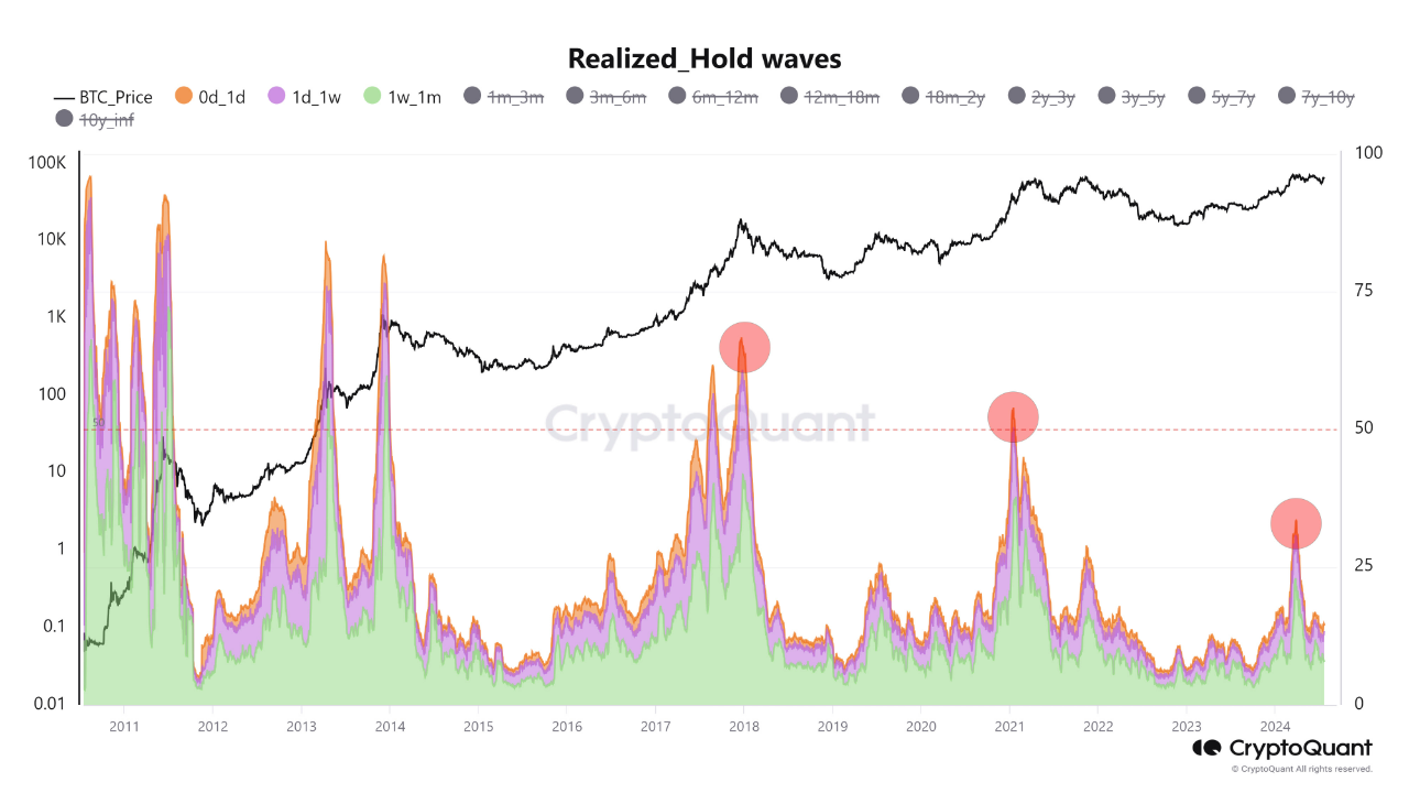How to Identify Macro Market Conditions Using the Realized Cap HODL Waves  Metric? | CryptoQuant
