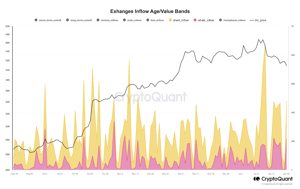 Potential Selling Pressure from Diamond Hands | CryptoQuant
