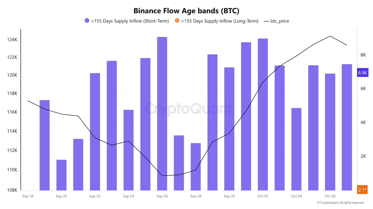 Bitcoin Price Dip: Who Were the Main Sellers on Binance? | 크립토퀀트