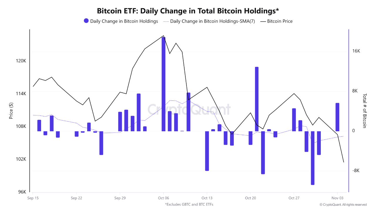 ETFs Signal Resilience with +5K BTC Inflow Amid Price Dip | 크립토퀀트