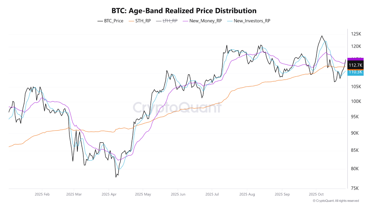 Bitcoin Reclaims Key Cost Bases — Nearly 7 Million BTC Back in Profit,  Signaling Renewed Confiden...