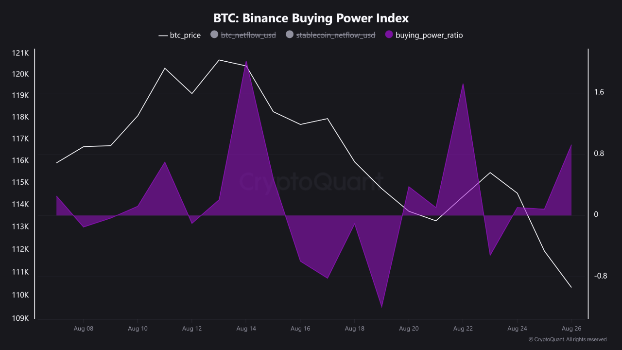 Binance Buying Power Surges, Hinting at Bullish Sentiment | 크립토퀀트