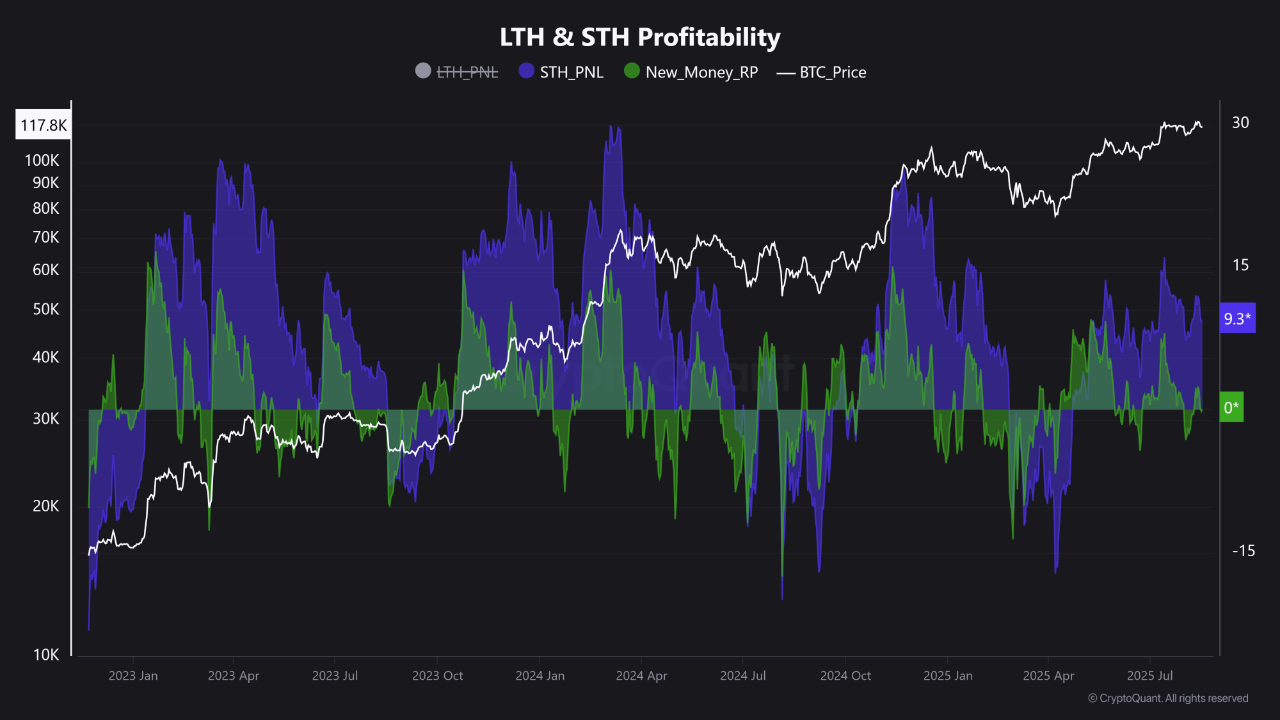 The Importance of Bitcoin Holding Above $118K: New Investor Cost Basis as a  Critical Pivot | 크립토퀀트