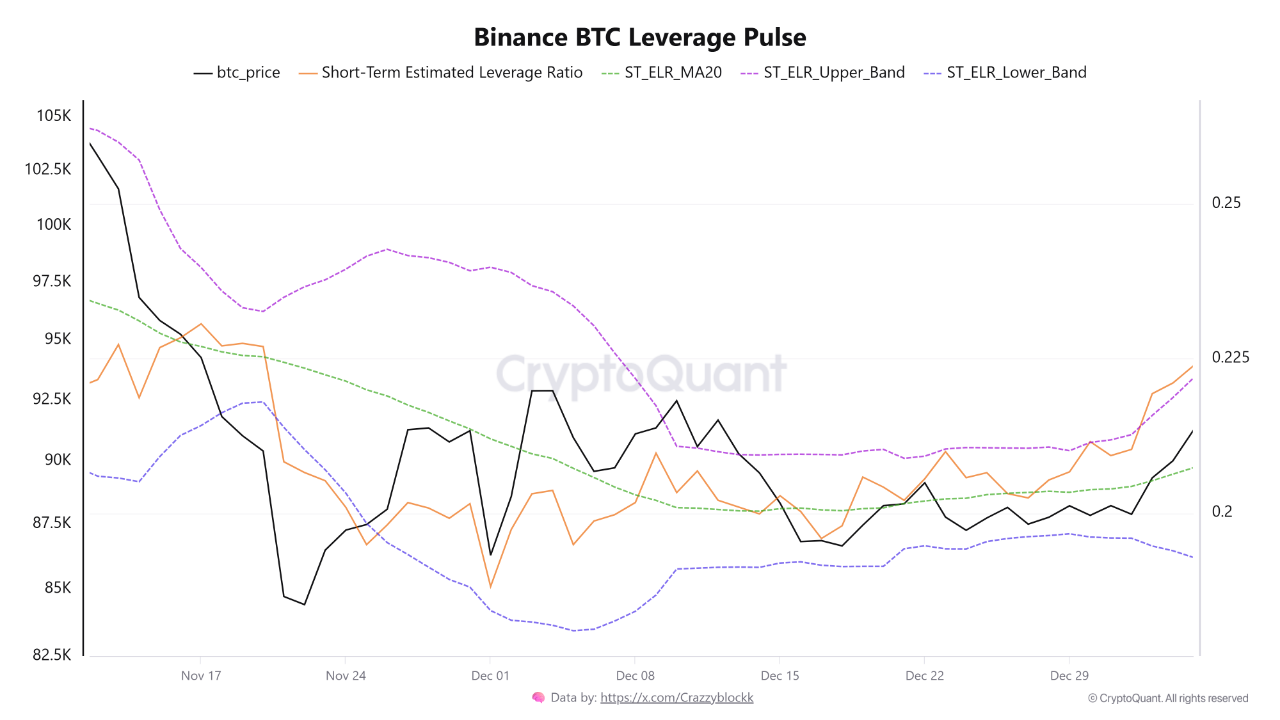 Binance Leverage Hits Risk Zone—4 Days at Extreme Levels Signal Short-Term  Volatility Ahead | Cry...