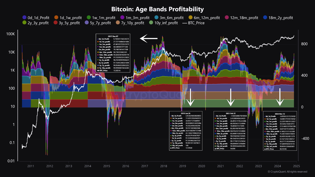 Is Bitcoin at Its Price Peak? Evaluating Investor Profitability to Find Out  | CryptoQuant