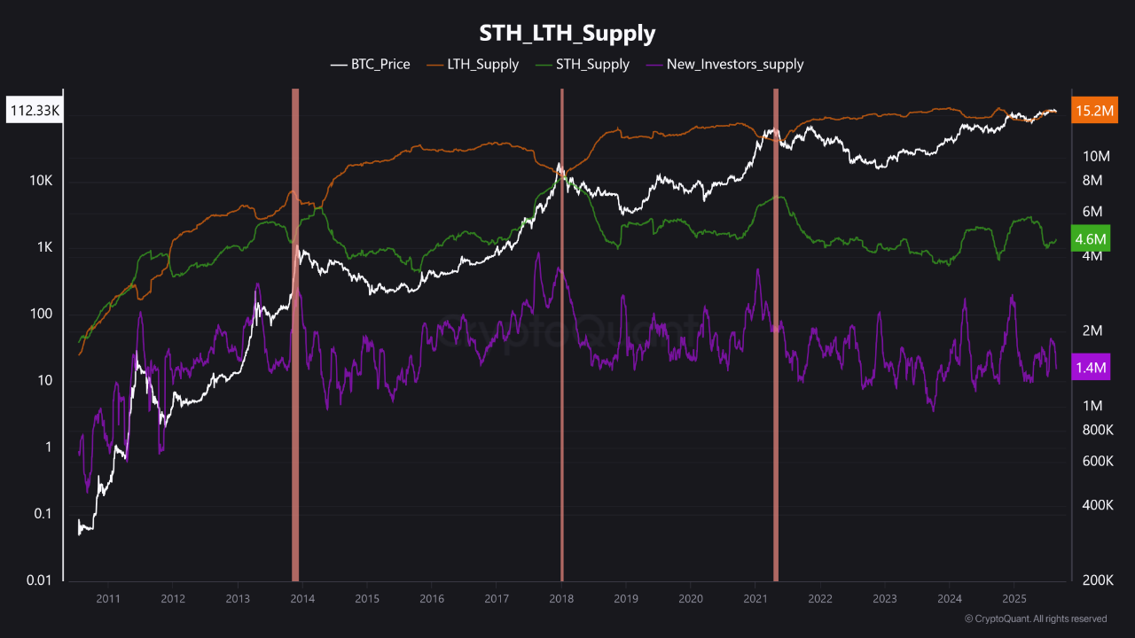 Weak Hands Fold: New Bitcoin Investors Capitulate, Fueling a Healthy Market  Shakeout | CryptoQuant