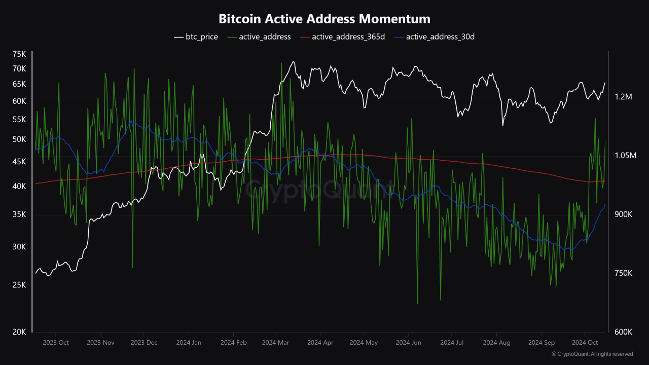 Significant Surge in Bitcoin Active Addresses | CryptoQuant