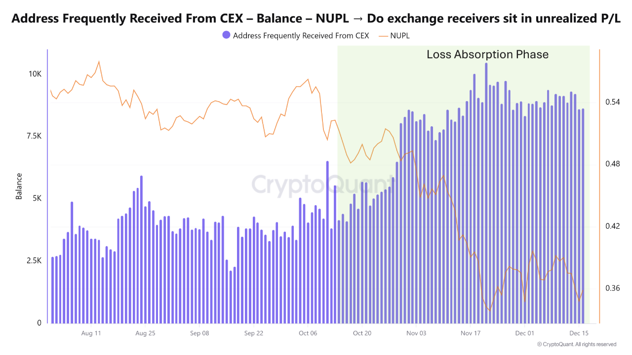 Bitcoin Enters a Balance-Sheet Repair Regime After the October Drawdown |  CryptoQuant