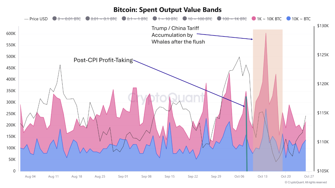 Inside the Whale Mind: How Bitcoin Giants Moved Ahead of the Market  Shakeout | 크립토퀀트