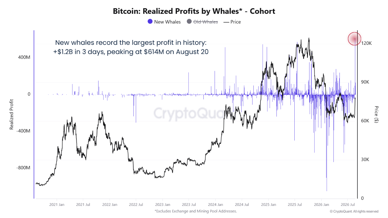 New Whales Just Realized a Record $1.2B as Bitcoin Reclaimed Their Cost Basis