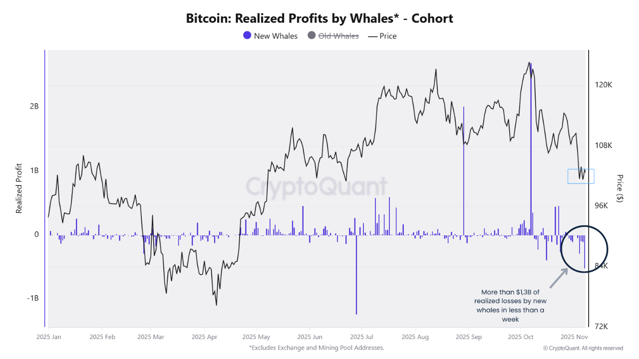 Bitcoin Face One of The Most Aggressive Capitulations of the Year By New  Whales | CryptoQuant