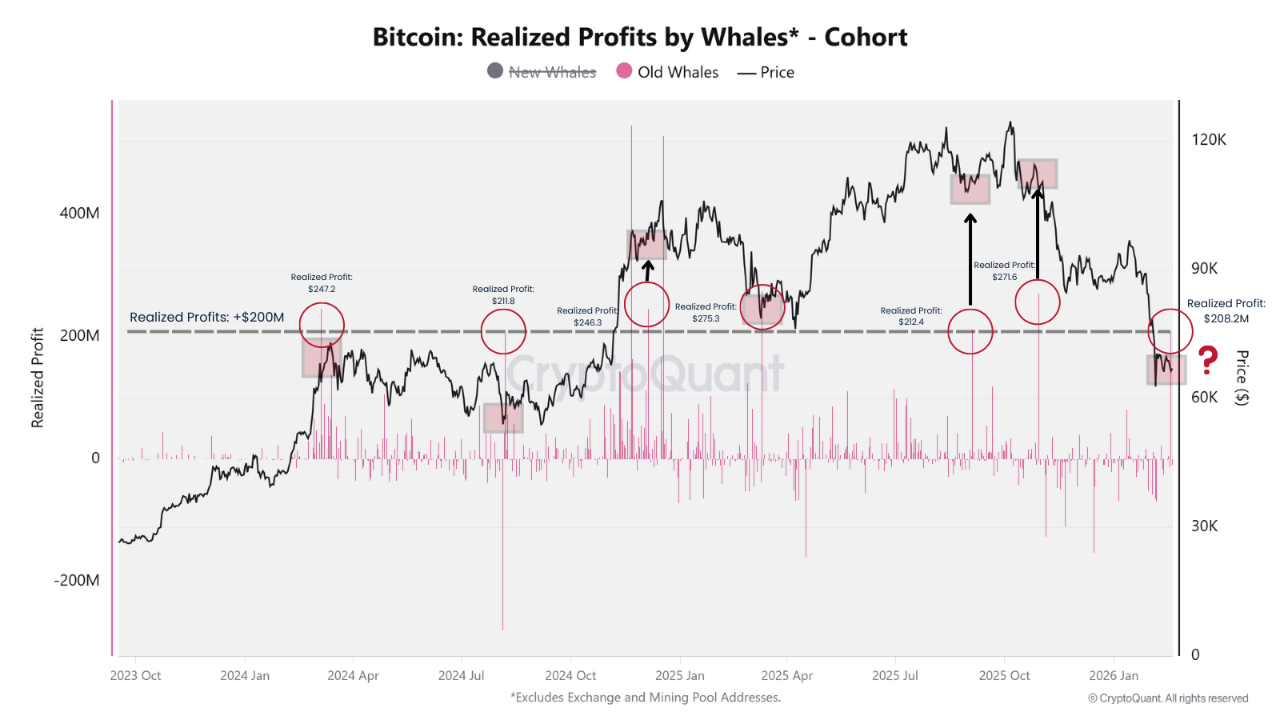 Warning Pattern Repeats for the 7th Time . Is Bitcoin's Next Big Move ...