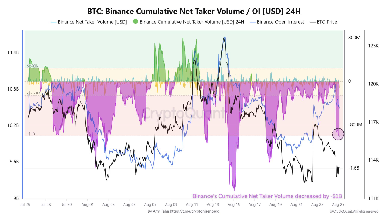 Binance BTC Liquidation Breakdown: Long Squeeze Clears Path for Rally |  CryptoQuant