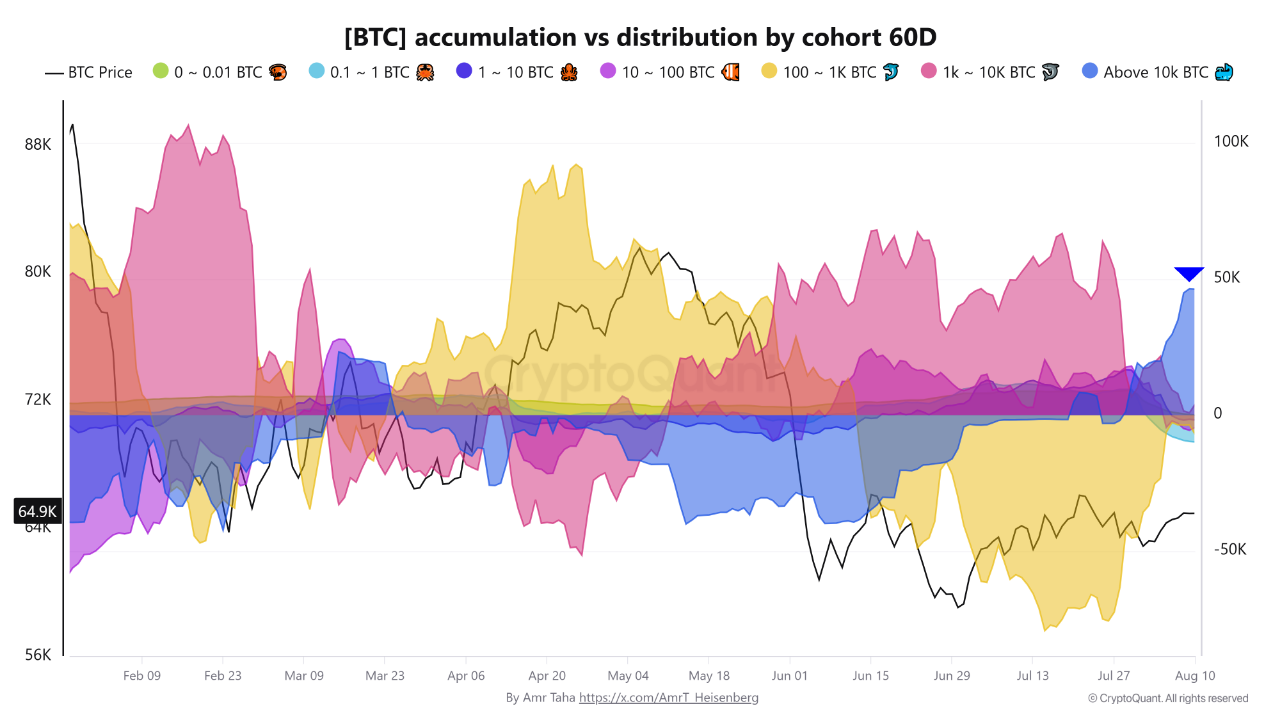 在美国 CPI 与 PPI 公布前，持有 10,000 BTC 以上的比特币积累量几乎达到三月峰值的两倍