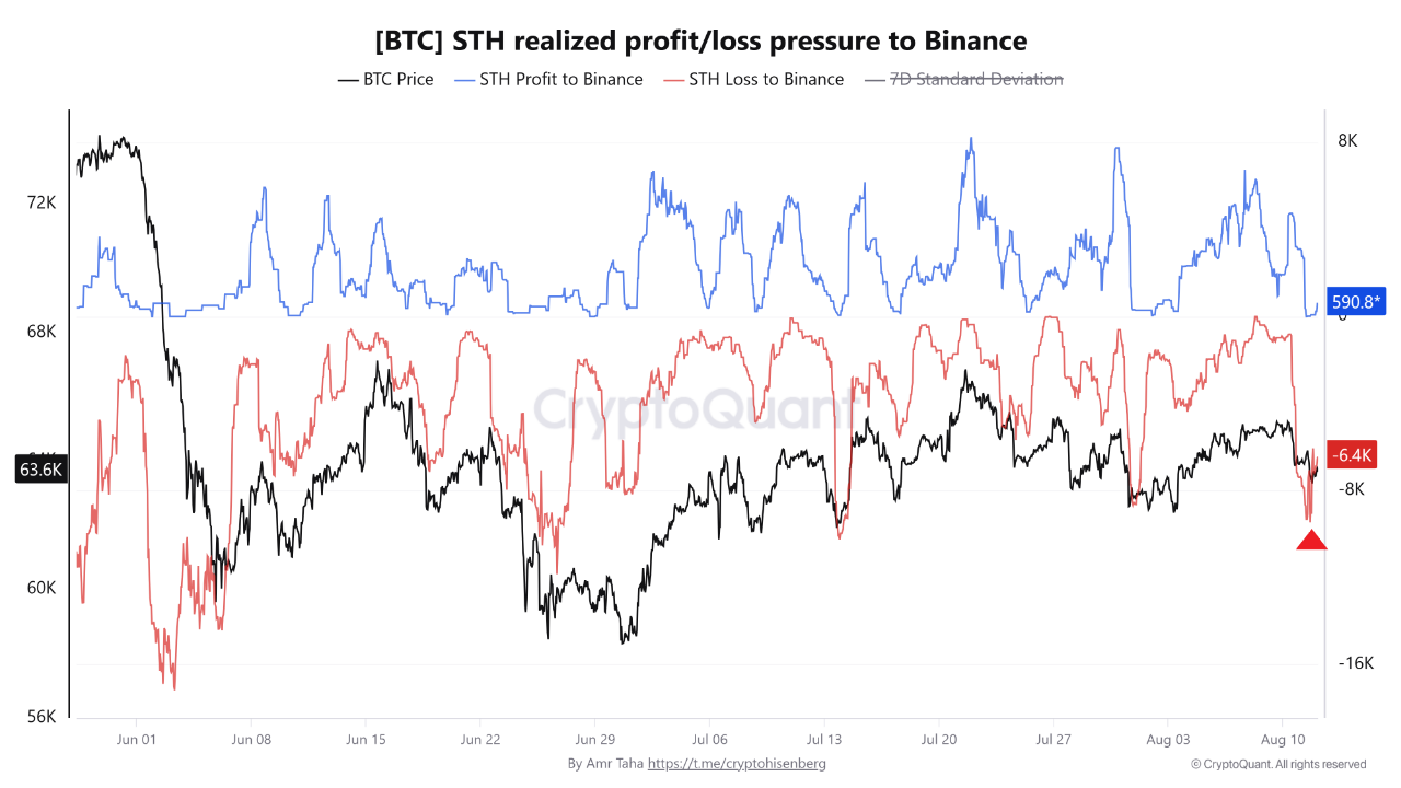 Bitcoin STH-Zuflüsse mit Verlust bei Binance erreichen 9,45K BTC vor CPI