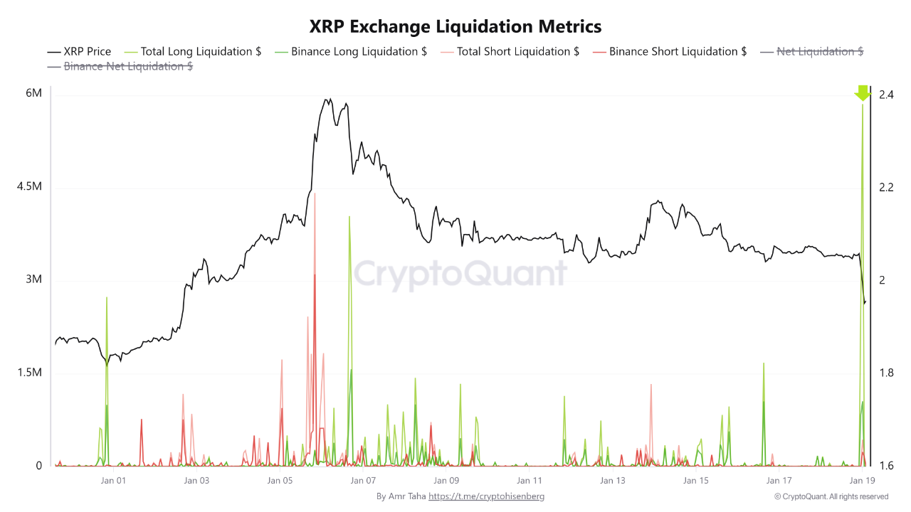 Binance XRP Derivatives Hit by Massive Long Liquidation Cluster |  CryptoQuant