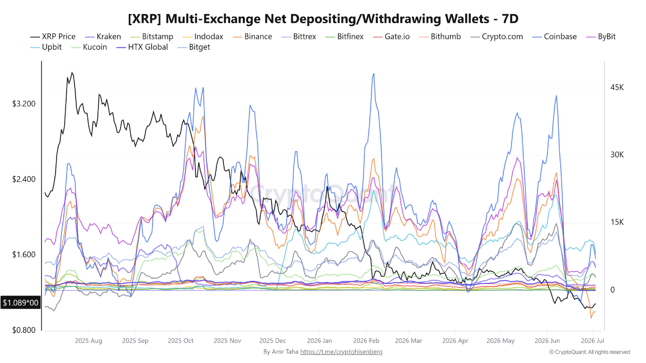 XRP Exchange Net Wallets CryptoQuant